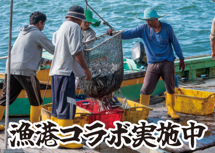漁港コラボ実施中